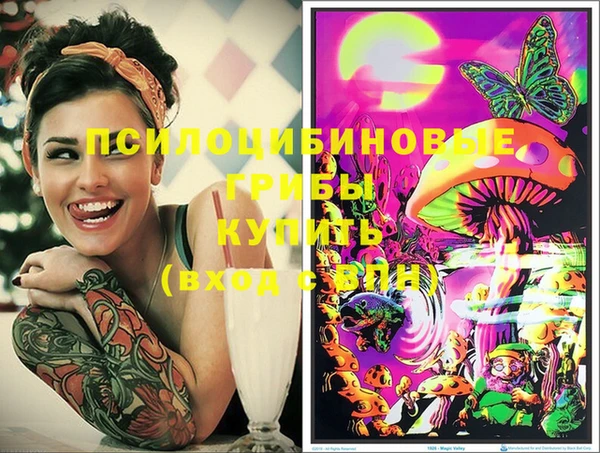 гидра Кодинск