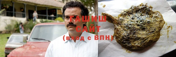 гидра Кодинск