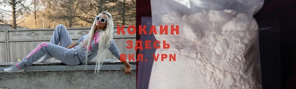 гидра Кодинск
