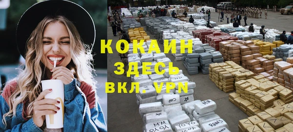 твердый Козловка