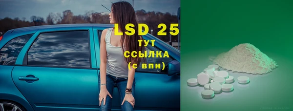 гидра Кодинск