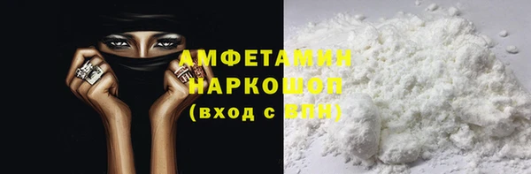 гидра Кодинск