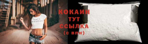 гидра Кодинск