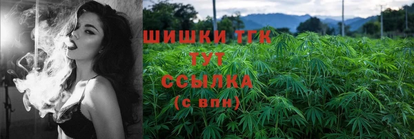 твердый Козловка
