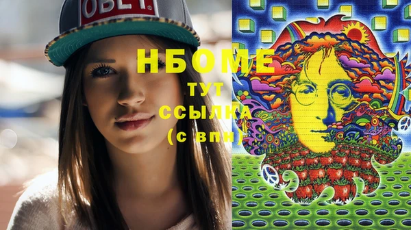 гидра Кодинск