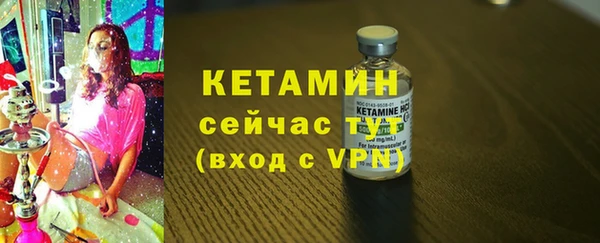 гидра Кодинск