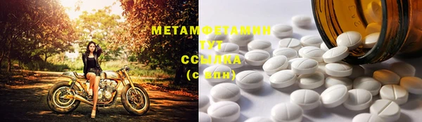 гидра Кодинск