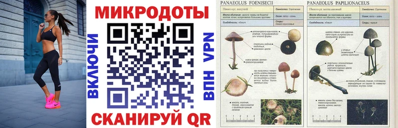 Галлюциногенные грибы ЛСД купить наркоту Липецк